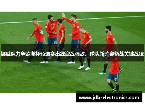 挪威队力争欧洲杯预选赛出线迎战强敌，球队新阵容备战关键战役
